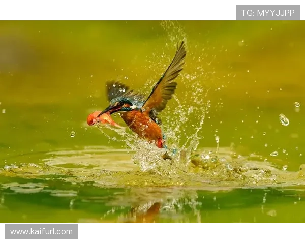 如何在K8扑鱼游戏中实现连续获胜的策略与技巧分析