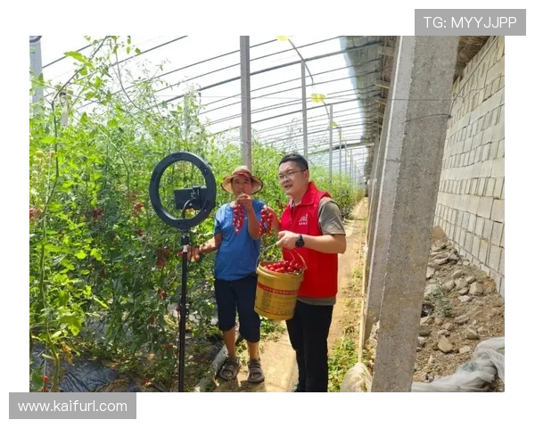 K8体育娱乐平台全面解析：提供多元化体育赛事直播与高效投注体验